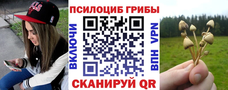 Псилоцибиновые грибы ЛСД  Вилюйск 